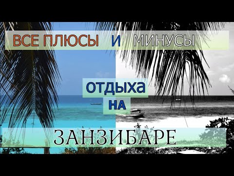 Видео: Cоветы в дорогу на Занзибар | Топ 5 самых опасных обитателей острова | что нельзя делать в Танзании