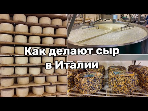 Видео: Сыроварня в Тоскане. Как Делают Овечий Сыр