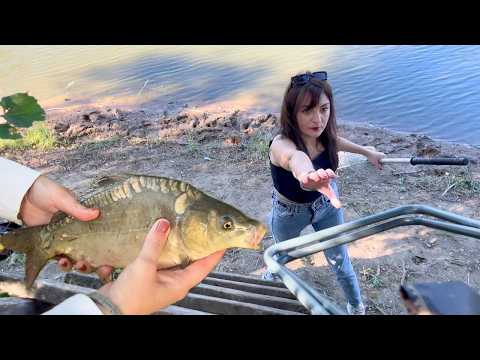 Видео: 🐠🎣 КАРП НА ПОПЛАВОК! ПОСЛЕДНИЕ ТЕПЛЫЕ ДНИ ☀️