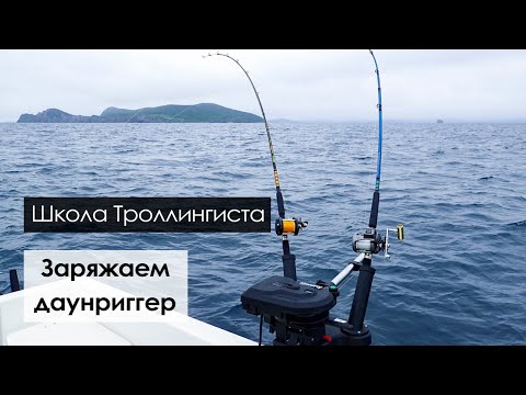 Видео: Троллинг симы с даунриггером