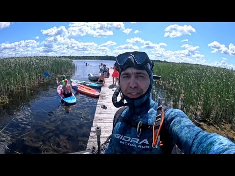 Видео: Подводная охота