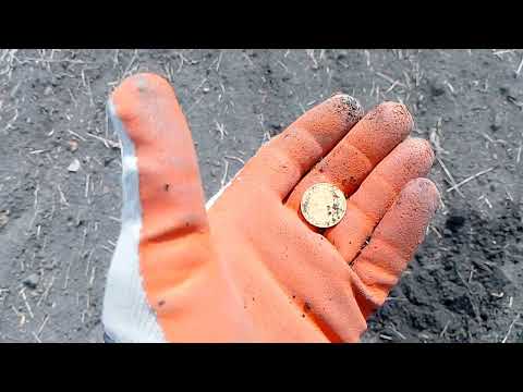 Видео: Вербное...