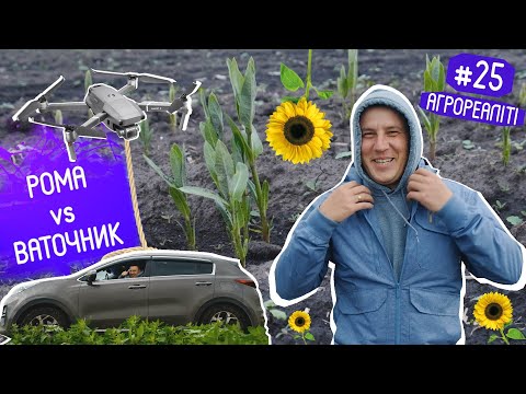 Видео: Як боротись із ВАТОЧНИКОМ? / ЗМИЛО ПОЛЕ 🌊