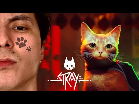 Видео: Сары мышығым ау-Stray-Azamat Tursynbay