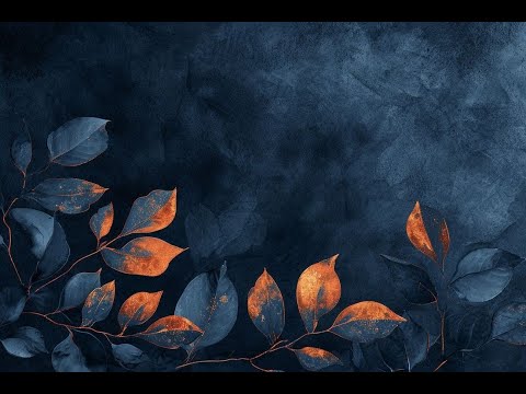 Видео: «Золушка» - «Хоть поверьте, хоть проверьте»