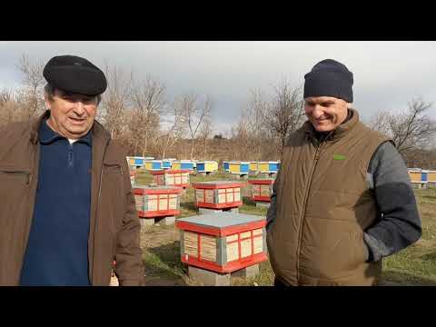 Видео: В гостях на пасеке семьи Ничик. 08.11.2020