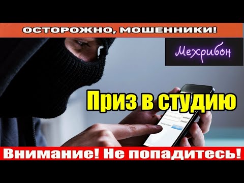 Видео: Мошенники звонят по телефону / Моя компания.