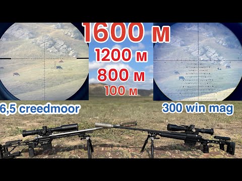 Видео: 300 win mag vs 6.5 creedmoor стрельба до 1600 м. 1-миля.