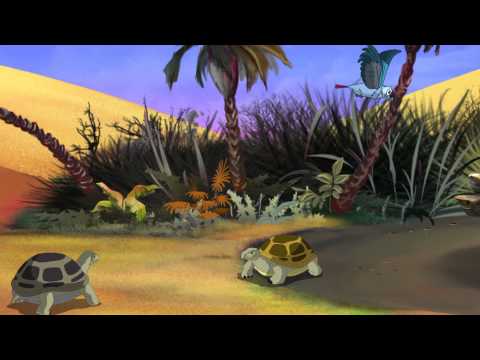 Видео: Уроки живой природы. Черепахи.