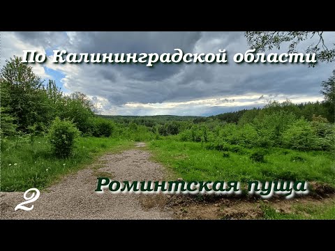 Видео: Велопутешествие по Калининградской области. Роминтская пуща