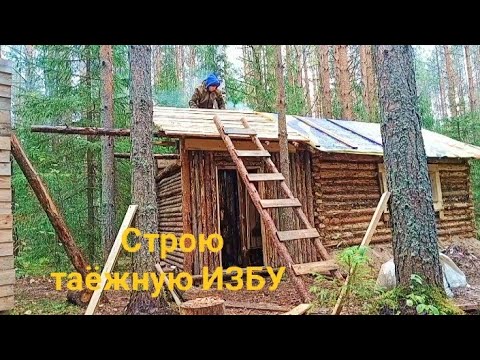 Видео: Строительство ТАЁЖНОЙ ИЗБЫ. От первого бревна, до НОВОСЕЛЬЯ. DIY.