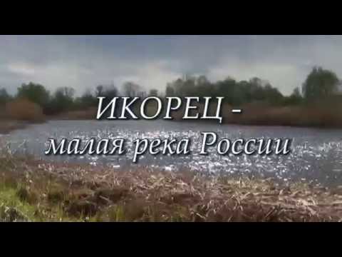 Видео: Лискинский район село Средний Икорец  р.Икорец