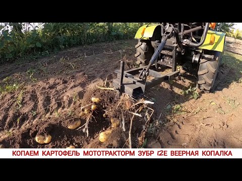 Видео: САМАЯ ПРОСТАЯ КОПАЛКА В РАБОТЕ, КОПАЕМ КАРТОФЕЛЬ МОТОТРАКТОРМ ЗУБР /THE EASIEST POTATO DIGGER TO USE