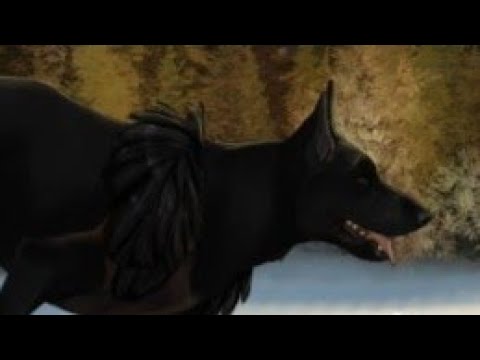 Видео: Коиикс Анунд 1,2,3 главы МОЯ РЕАКЦИЯ