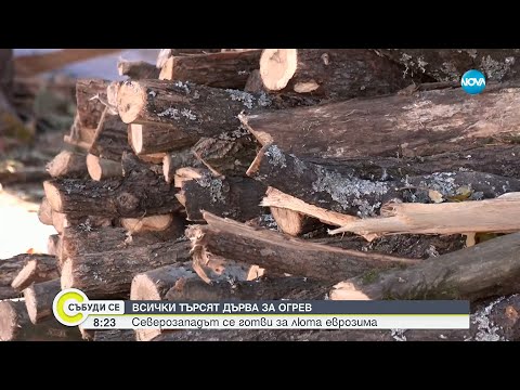 Видео: Цените на дървата за огрев и отоплението през зимата - Събуди се...(02.11.2025)