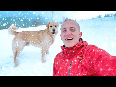Видео: ЖИВОТ НА СЕЛО ЗИМАТА В РОДОПИТЕ