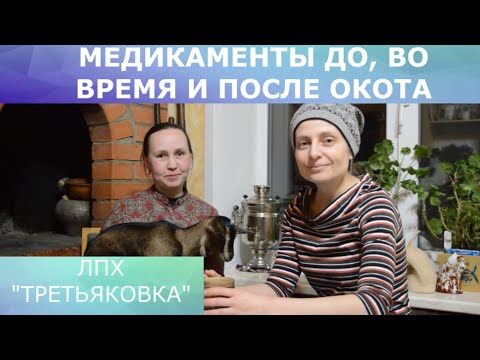 Видео: Медикаменты до, во время и после окота/ЛПХ "Третьяковка"