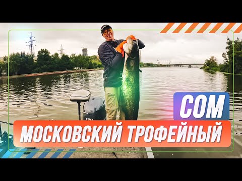Видео: Московский трофейный СОМ. #OnlySpin