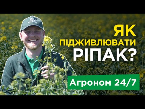 Видео: Як підживлювати ріпак? Навіщо вносити Бор по ріпаку? Добрива. Агроном 24/7