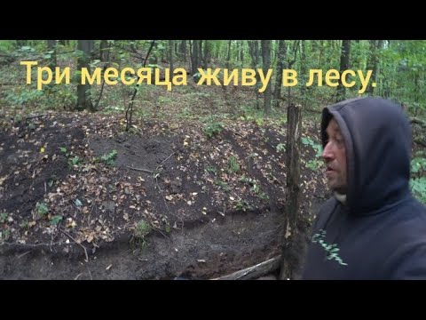 Видео: Землянка в лесу на берегу водоема. Живу в лесу уже три месяца.