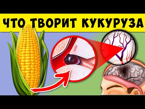 Видео: Вот что творит Кукуруза с Кровью, Сосудами, Потенцией, Кишечником и Даже...