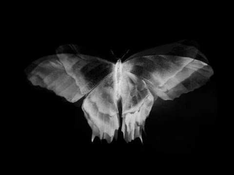 Видео: ИНФОРМАЦИЯ С ПОТОКА🦇