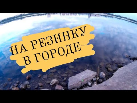 Видео: Ловля на живца . Ловля на резинку в черте города