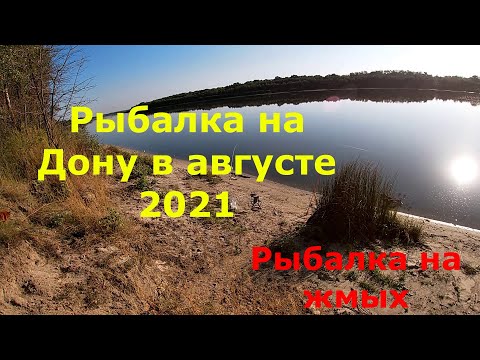 Видео: Рыбалка на дону в августе 2021. Рыбалка на жмых!