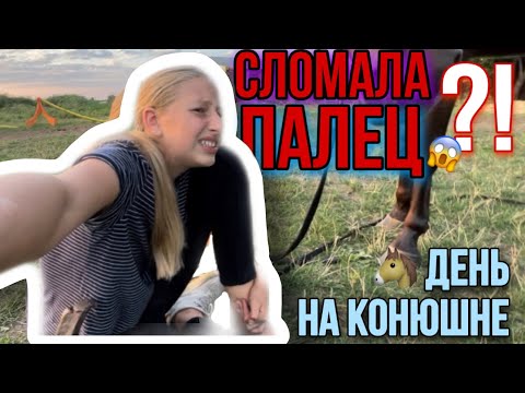 Видео: ВЕЧЕР НА КОНЮШНЕ | Лошадь поломала палец ?!😱