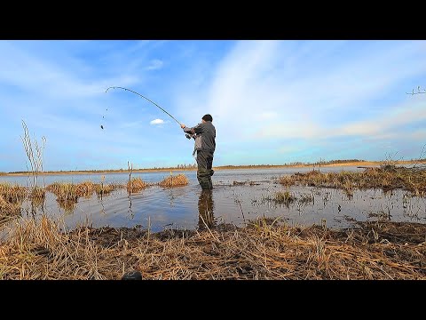 Видео: ПЕРВАЯ РЫБАЛКА НА ДОНКИ 2023!!! ПЕРВЫЕ ЛЕЩИ, ПЛОТВА. ПЕРВАЯ РЫБАЛКА ВЕСНОЙ 2023