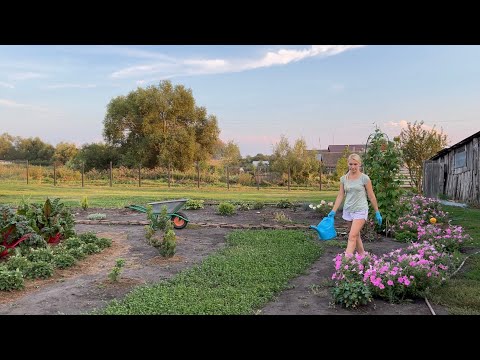 Видео: НОВЫЙ ТЕКСТИЛЬ ДЛЯ ДОМА/КОЛЕУСЫ В КАШПО/ОГОРОД В КОНЦЕ АВГУСТА