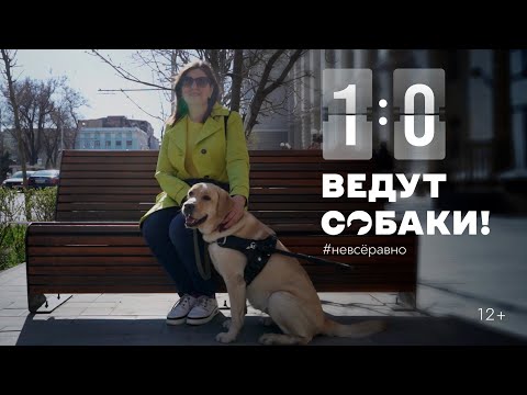 Видео: 1:0 — ведут собаки