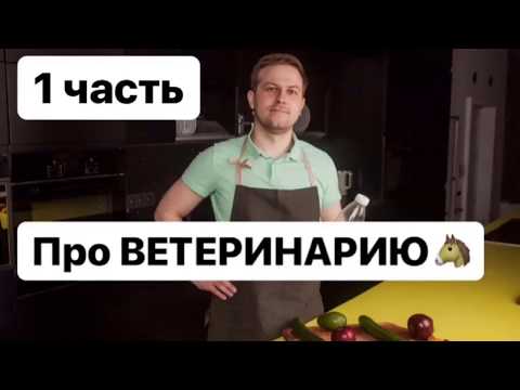 Видео: Про ВЕТЕРИНАРИЮ 1 часть