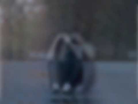 Видео: Махмадали Умаров ба дил фарёд дорам