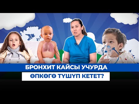 Видео: Бронхит кайсы учурда өпкөгө түшүп кетет? | "БӨБӨК" КӨРСӨТҮҮСҮ