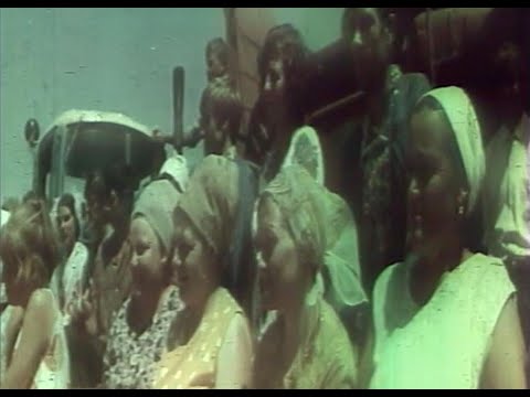 Видео: Колхоз имени Кирова, станица Новоминская, Каневской район. 1970 год