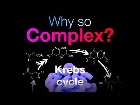 Видео: Скрытая логика жизненных путей | EoB Ch00