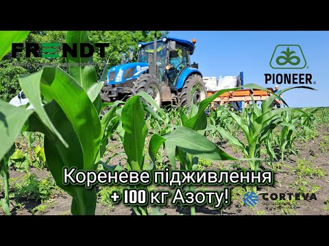 Видео: Робимо врожайну кукурудзу🌽КРН-5,6 В металолом! 100 кг сульфату для кукурудзи.