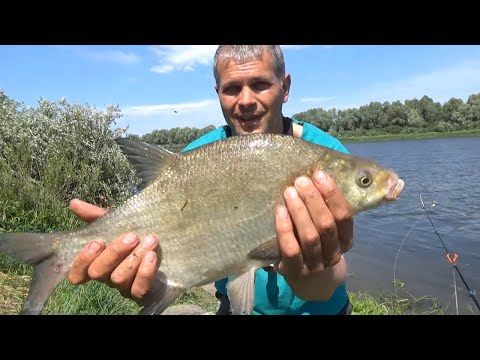 Видео: САЛО Рулит на Леща! Рыбалка на ЛЕЩА на Оке! ОТВЕТЫ на ВОПРОСЫ!