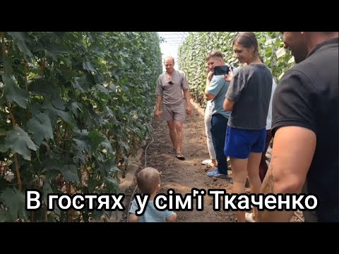 Видео: 🍇#2ч. Дві години 👌смакового космосу на винограднику Дмитра та Альони Ткаченко 