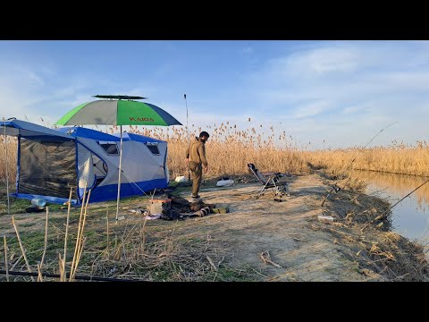 Видео: Рыба проснулась! Жор сазана ранней весной .  Март 2025год