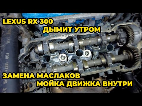 Видео: Lexus RX дымил по утрам