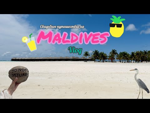 Видео: Свадебное путешествие на Мальдивы| Meeru Island Resort and Spa| Бизнес зал Малевич в Шереметьево 