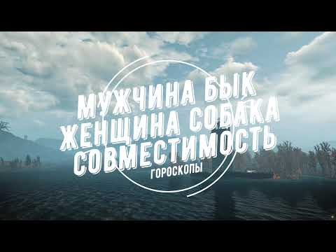 Видео: Совместимость мужчина Бык и женщина Собака