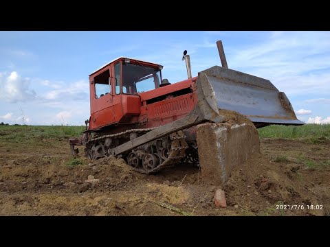 Видео: Копаем металлалом трактором ДТ 75 на заброшенной тракторной бригаде.