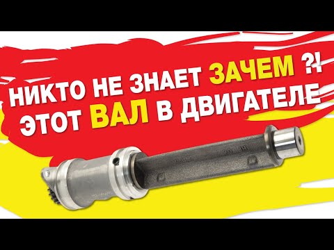 Видео: НИКТО НЕ ЗНАЕТ, ЗАЧЕМ ЭТОТ ВАЛ В ДВИГАТЕЛЕ!!