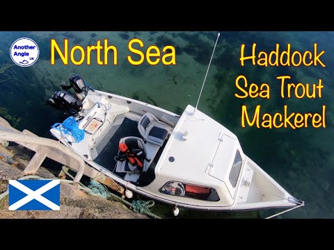 Видео: Рыболовство на малых судах в Северном море: Боддам, напротив Питерхеда: северо-восток Шотландии: ...