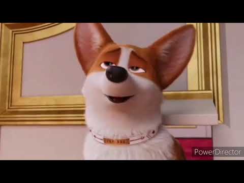 Видео: Королевский Корги: Клип "Оптимист" (ЧИТ. ОПИС.) Заказ