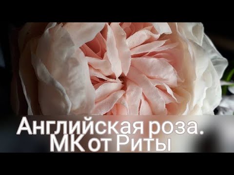 Видео: Лепка АНГЛИЙСКОЙ РОЗЫ. МК от Риты:))