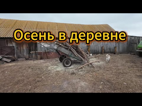 Видео: Деревенские будни, осень 2025